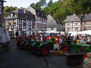 Pool - Haus Elli Monschau Comfortable Vacation Home (Monschau)