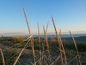 Casa | Praia