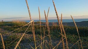 A beach with tall grasses and a clear sky. - 3 Person Holiday Home in Karrebaeksminde (Karrebæksminde)