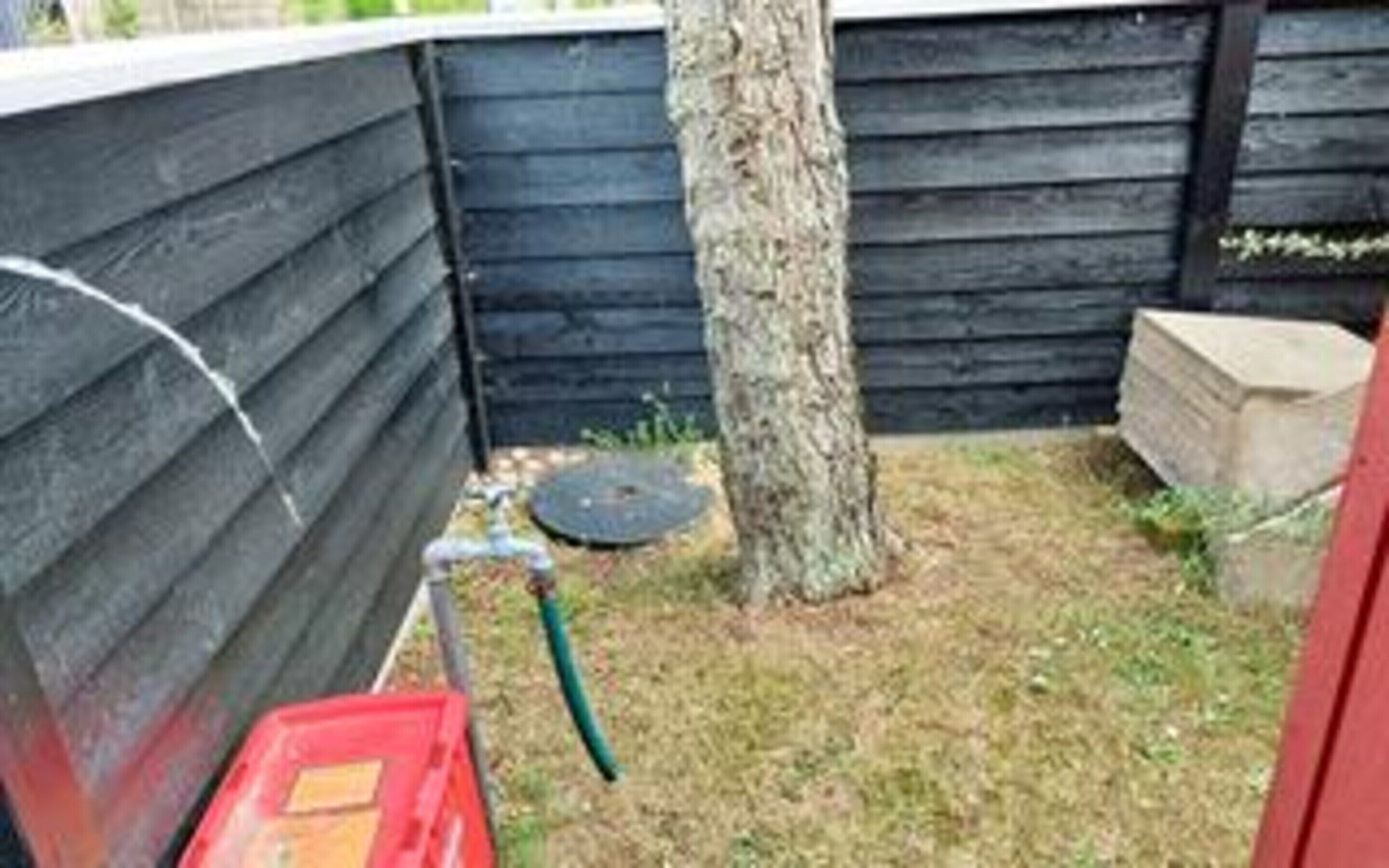 A fenced backyard with a tree, a red container, and a green hose.