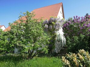 Esterni