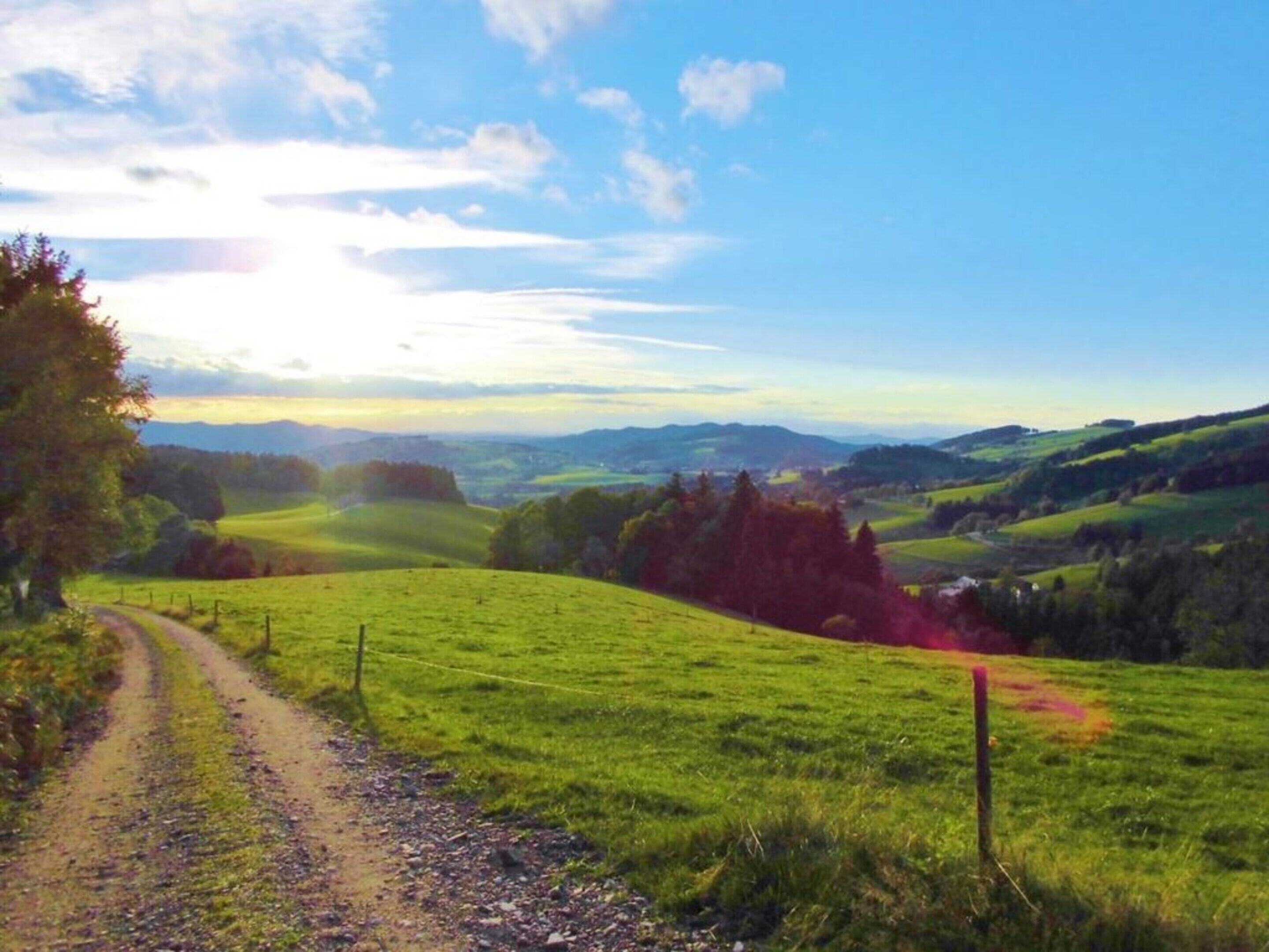 A rural landscape with a dirt path leading through green fields and rolling hills.