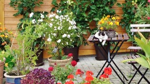 Ein Garten mit Blumentöpfen, einer Holzwand und einem Tisch, auf dem eine Katze liegt.