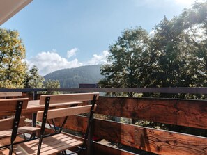 View from property - Granetal.quartier-apartment Harzidylle (Goslar)