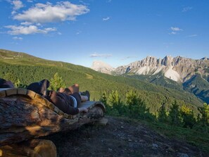 Miscellaneous - Pond View Modern Retreat (Bressanone)