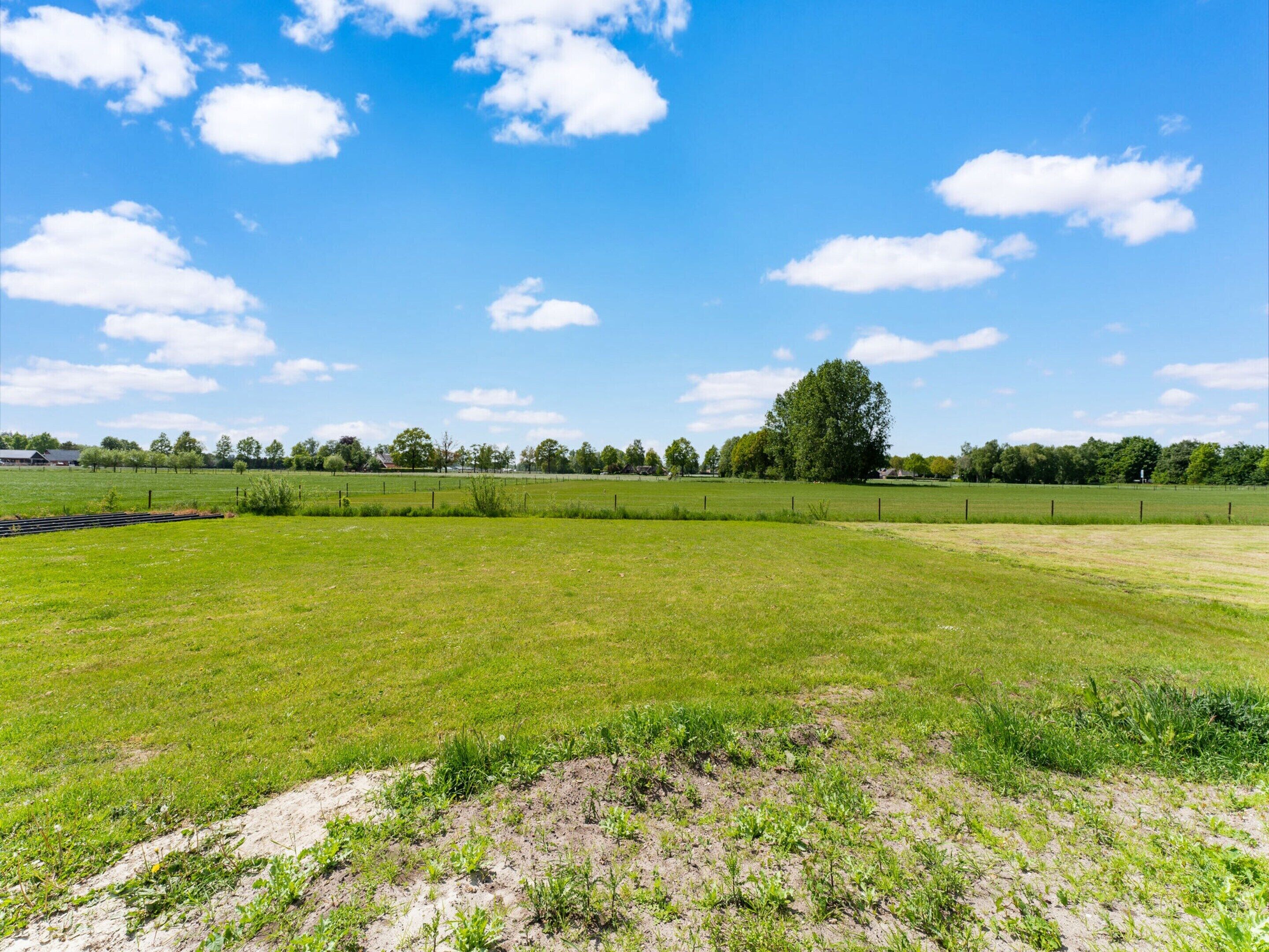 Een uitgestrekt veld met een hek, een grote boom en een gebouw in de verte.