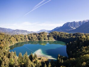 Un lago tranquilo rodeado de un bosque denso y montañas.