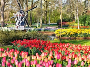 Stroll through the beautifully maintained garden, surrounded by vibrant flowers and a picturesque windmill.