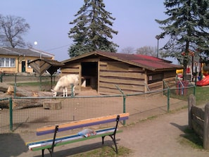 Situated in a tranquil outdoor setting, this cabin offers a cozy bench for relaxation.