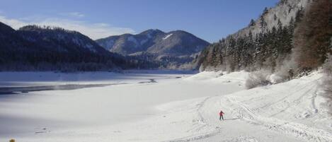 A snowy landscape with a clear sky, a frozen lake, and a trail with a person in red.