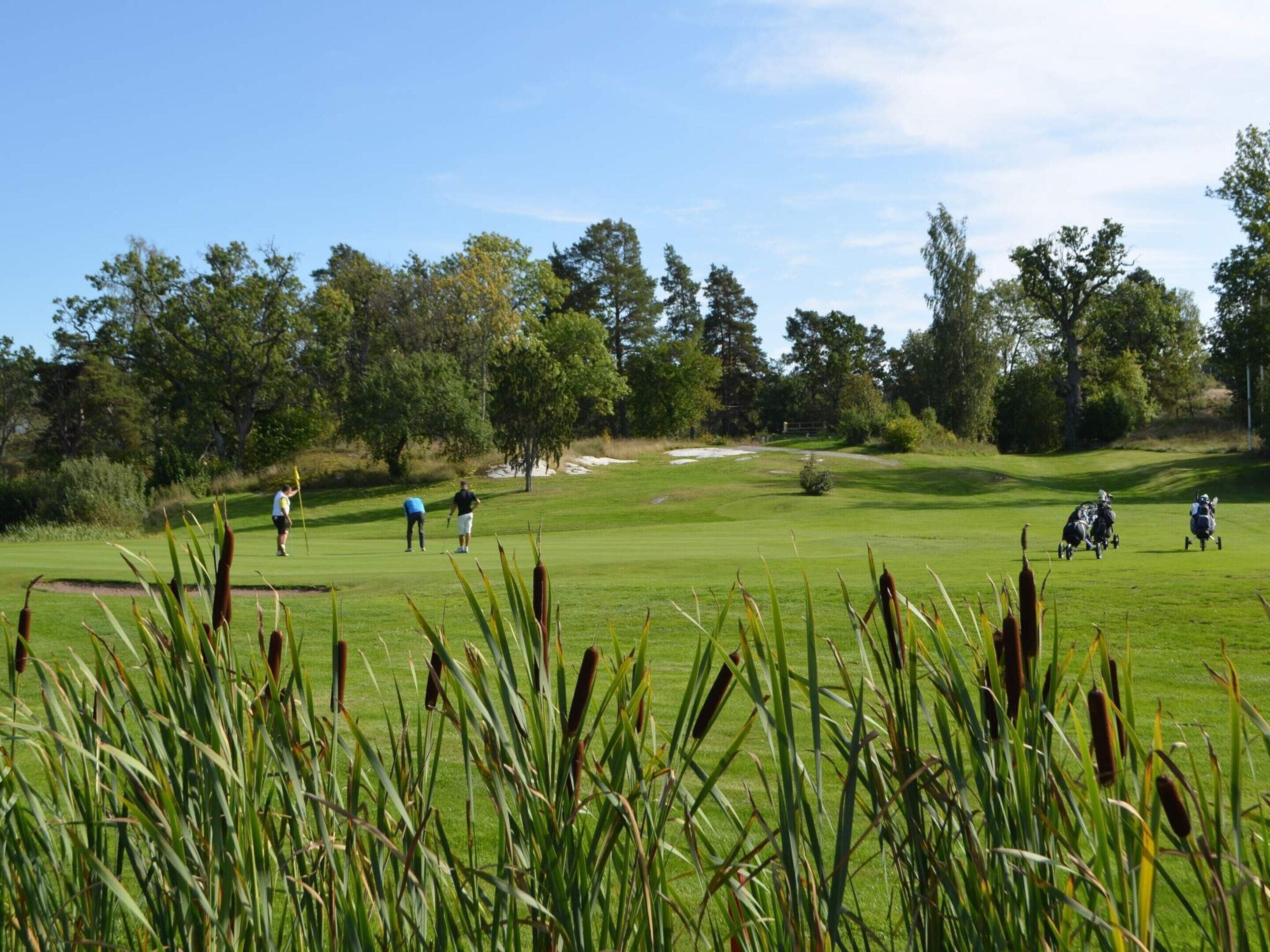 Un terrain de golf avec des joueurs, des arbres et un ciel dégagé.