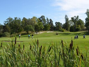 A golf course with players, trees, and a clear sky. - 5 Star Holiday Home in Ljustero (Ljusterö)