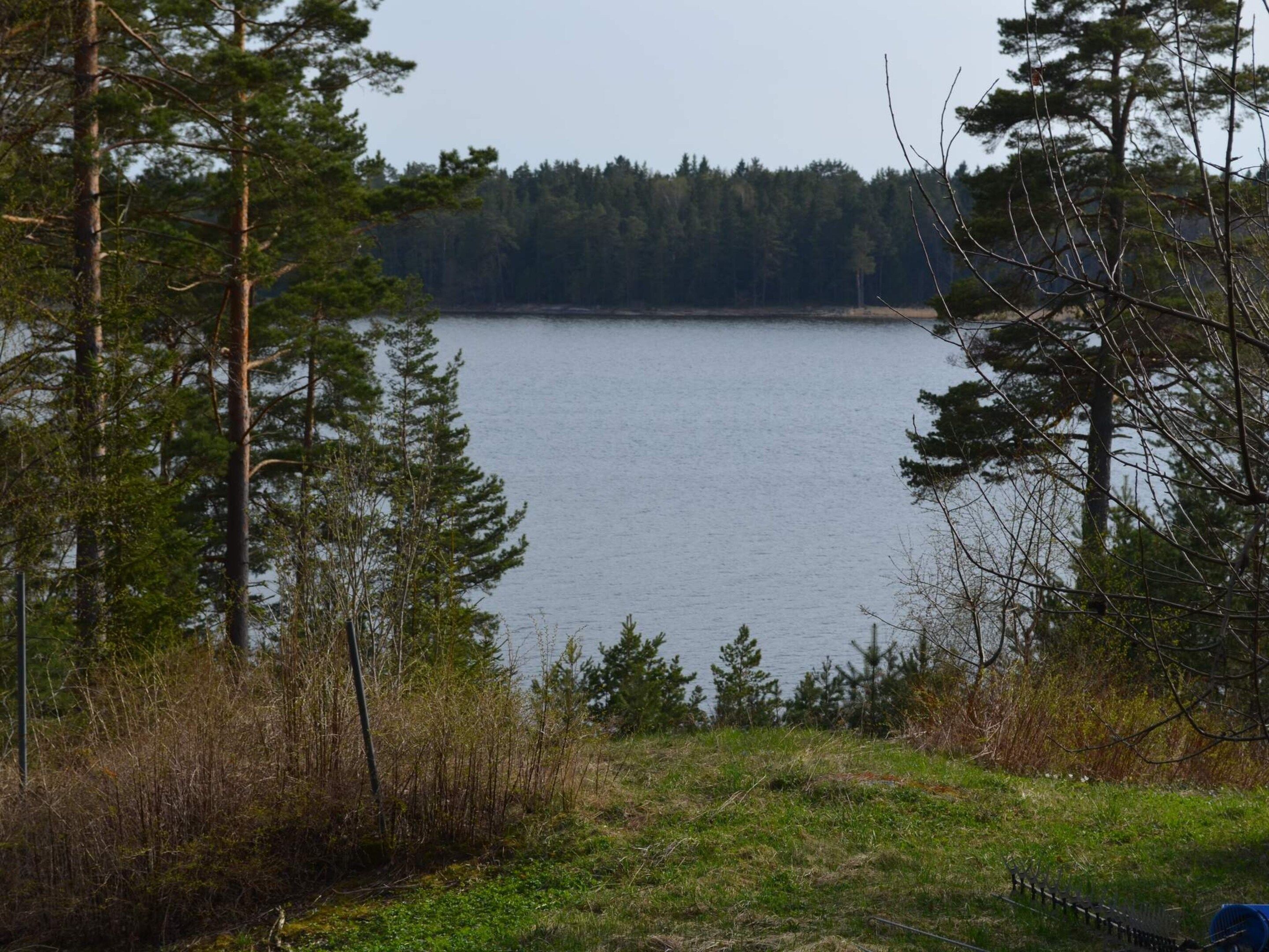 A natural landscape with a body of water, surrounded by trees and vegetation.