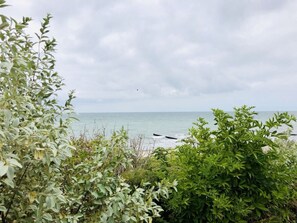 A coastal view with dense greenery in the foreground and a calm sea in the background. - Holiday Home Darsskieker (Pruchten)