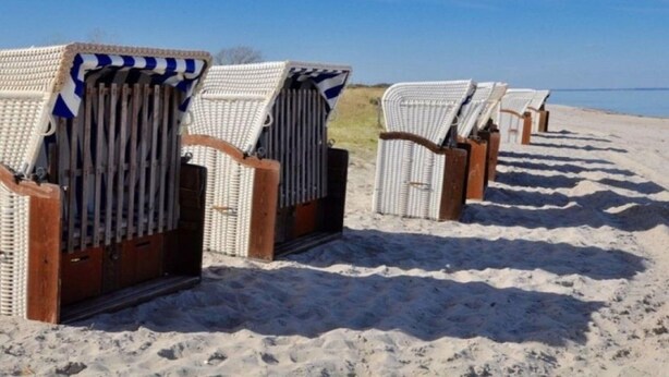 Une rangée de chaises de plage, dotées d’un dossier en osier et d’une structure en bois, est alignée sur une plage de sable.