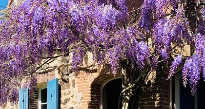 Typical Charming Percheron House, 1h45 From Paris