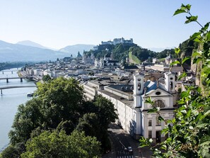 A historic town with a prominent castle on a hill, a river in the foreground, and a mix of traditional and modern buildings. - Bergwiesen - Studio House (Traunstein)