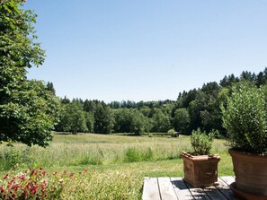 Exterior - Bergwiesen - Studio House (Traunstein)