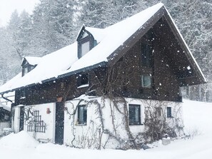 Exterior - Bergwiesen - Studio House (Traunstein)