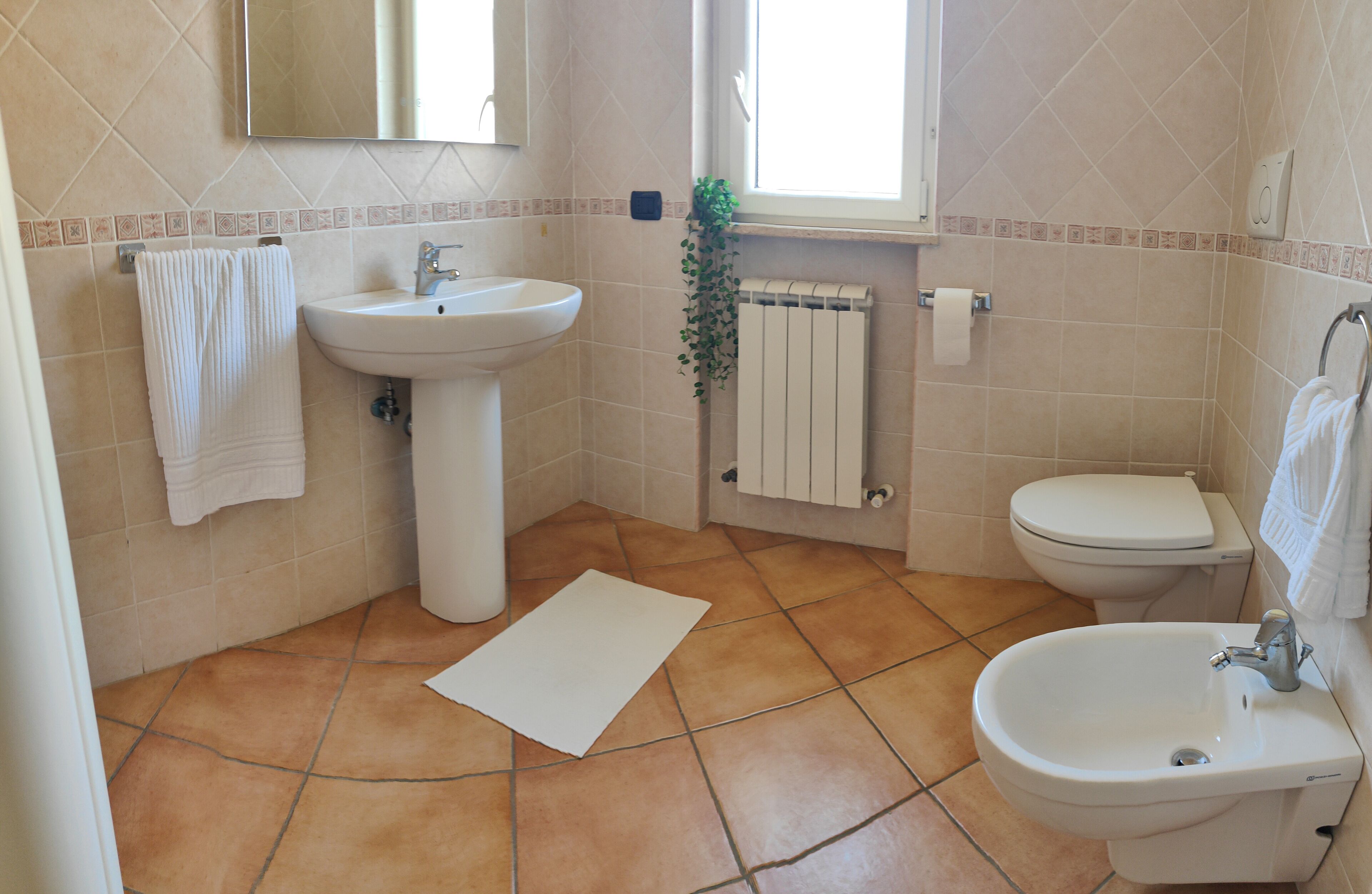 Ducha, secador de pelo, bidet, toallas