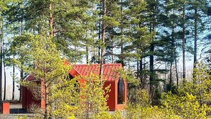 A red cabin surrounded by tall pine trees. - 7 Person Holiday Home in Forsheda (Forsheda)