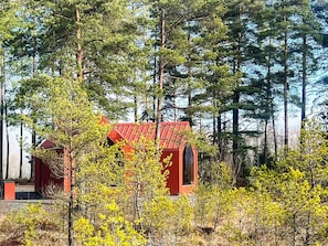 A red cabin surrounded by tall pine trees.