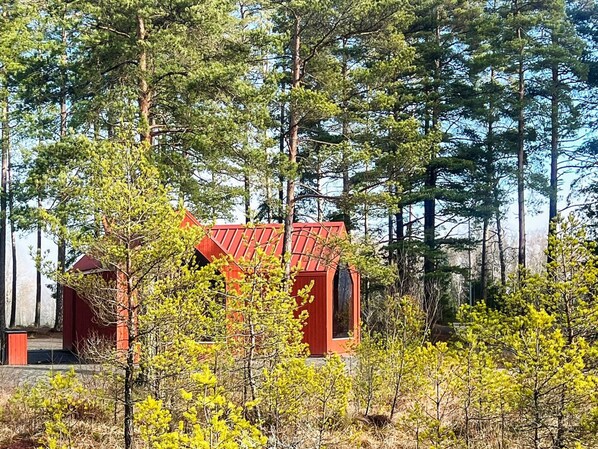 A red cabin surrounded by tall pine trees. - 7 Person Holiday Home in Forsheda (Forsheda)
