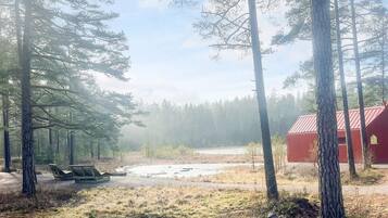 A forested area with a red building, a bench, and a small clearing.