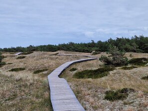 Property grounds - Beach & Good Comfortable Holiday Residence (Zingst)