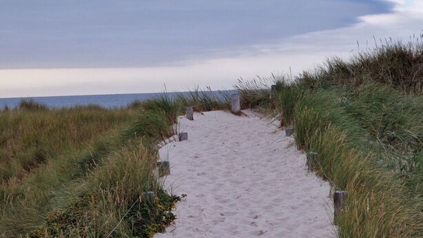 A sandy path flanked by grass on both sides, leading towards the sea. - Beach & Good Comfortable Holiday Residence (Zingst)
