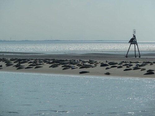 Holiday Home Old Customs House