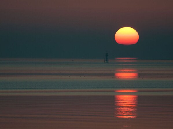 Pool - Holiday Apartment Seahorse (Norderney)