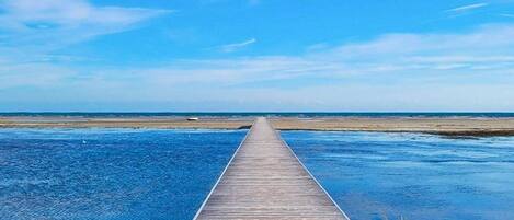 House | Water view