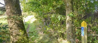 5 Star Holiday Home in Hovborg
