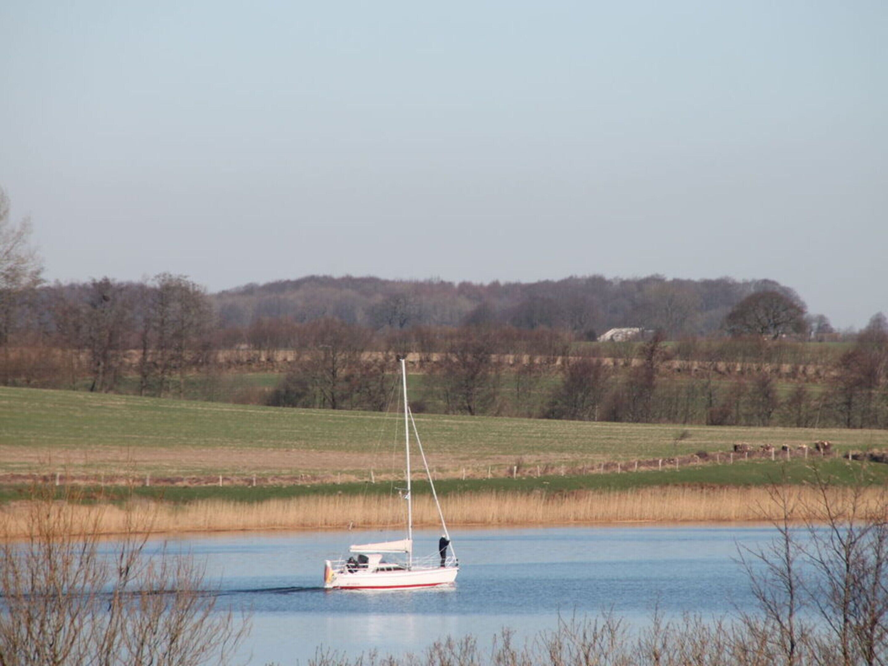 A sailboat on a calm body of water with a grassy field and trees in the background.
