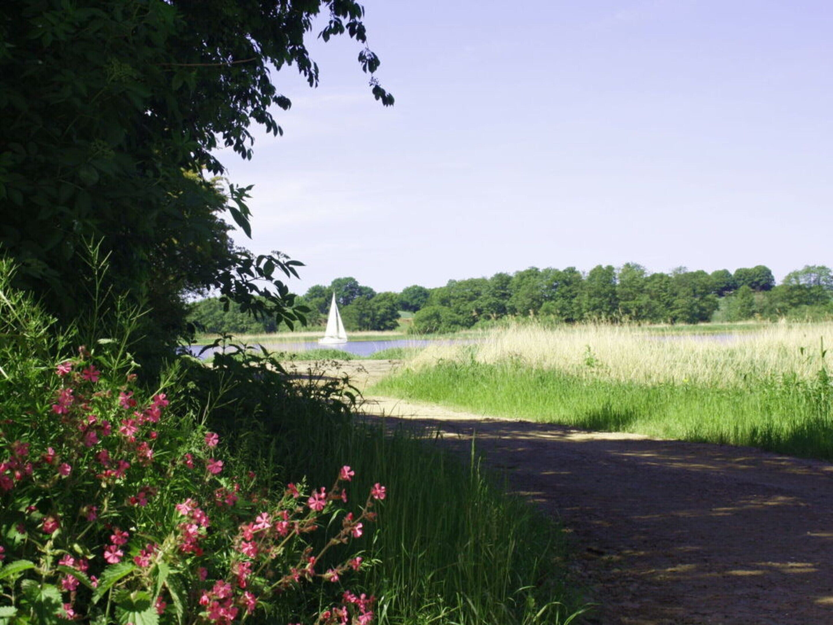 A dirt path leading to a body of water with a sailboat, surrounded by greenery and trees.