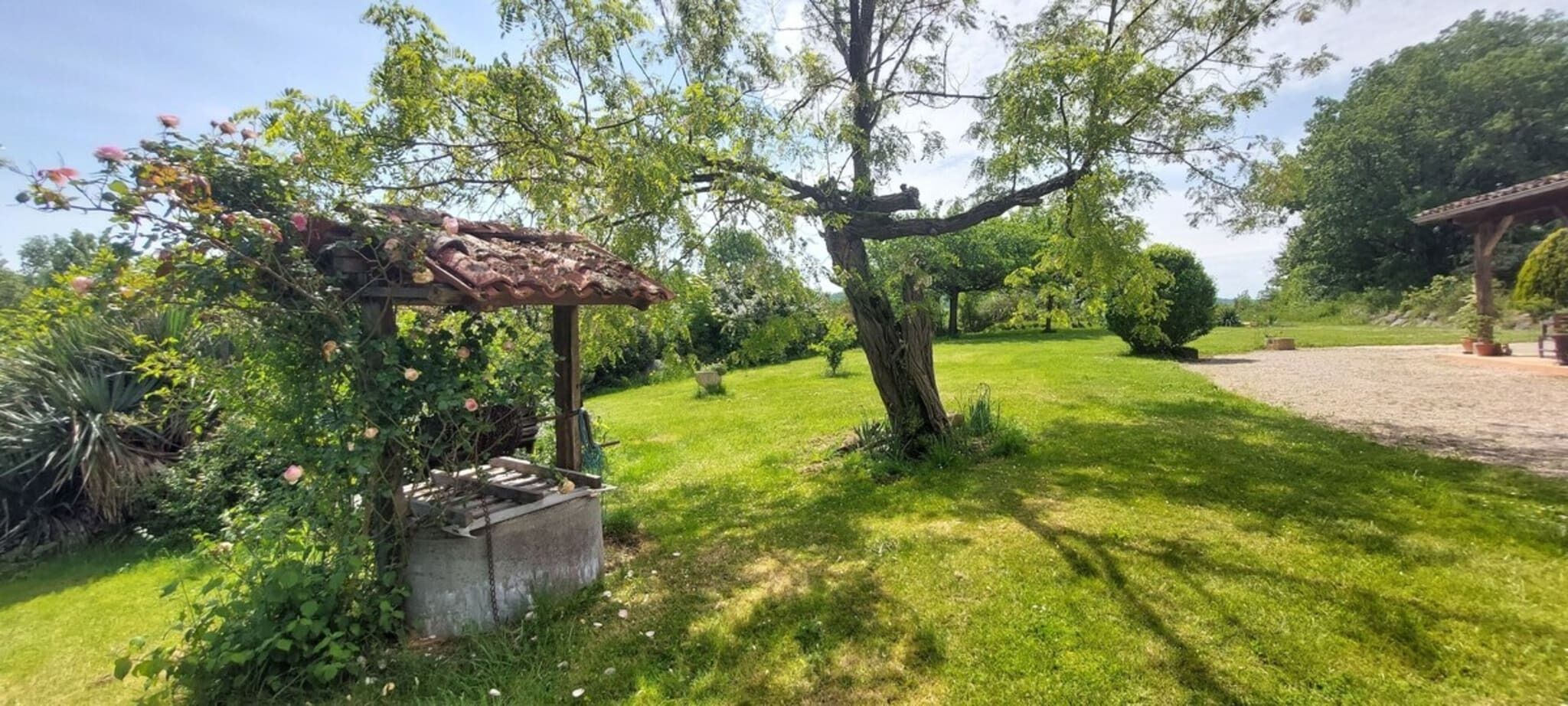 En trädgård med en pergola, ett träd och en välskött gräsmatta.