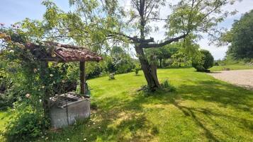 En trädgård med en pergola, ett träd och en välskött gräsmatta.