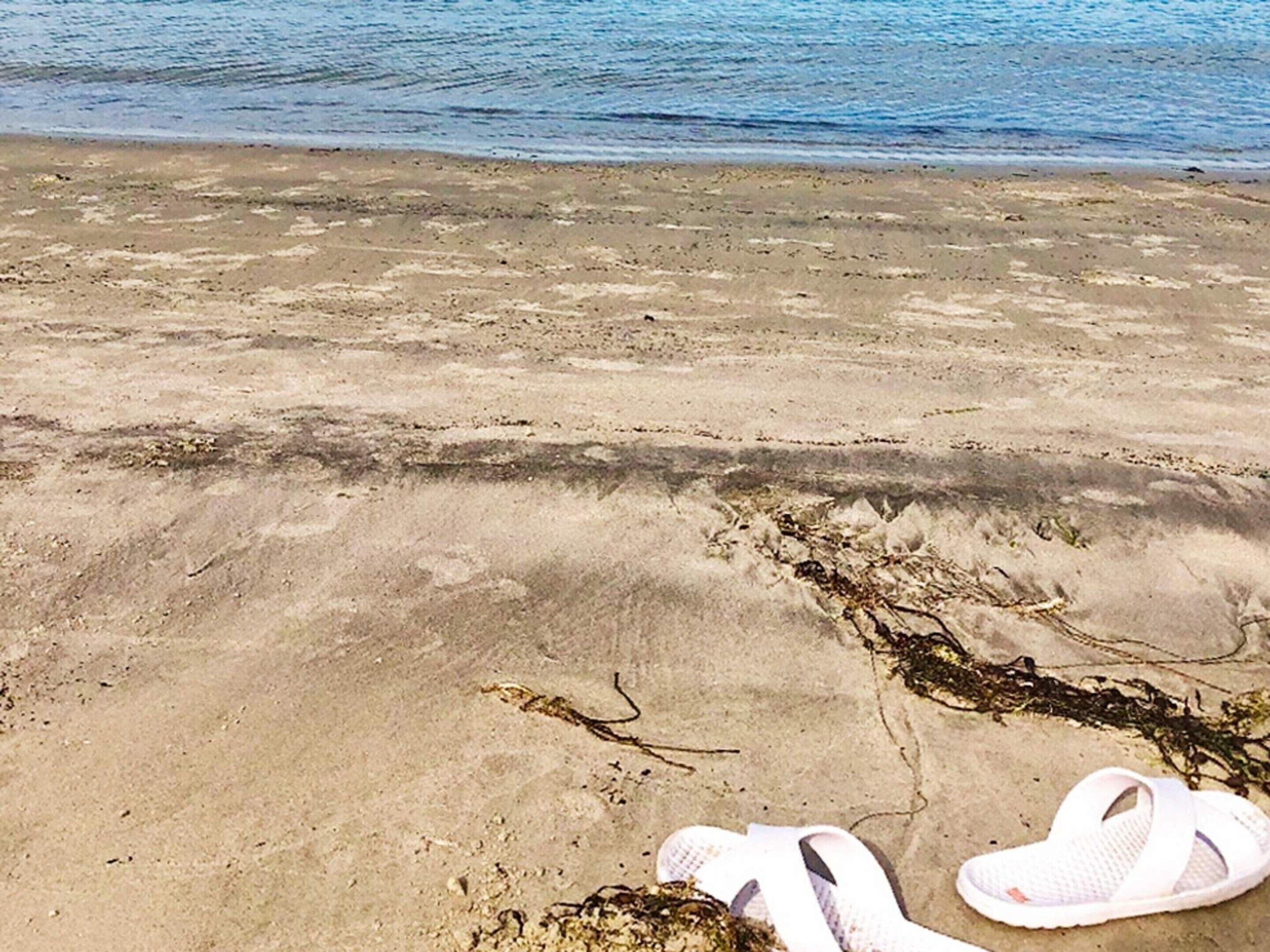 Ferienhaus | Strand | In Strandnähe, Angeln
