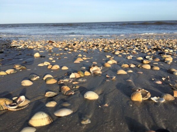 Beach - Deichwiege Modern Retreat (Wangerland)