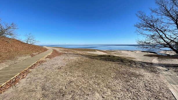 A beach with a wooden boardwalk leading to the water, surrounded by leaf-covered ground and sparse trees. - 4 Star Holiday Home in Tomelilla (Tomelilla)