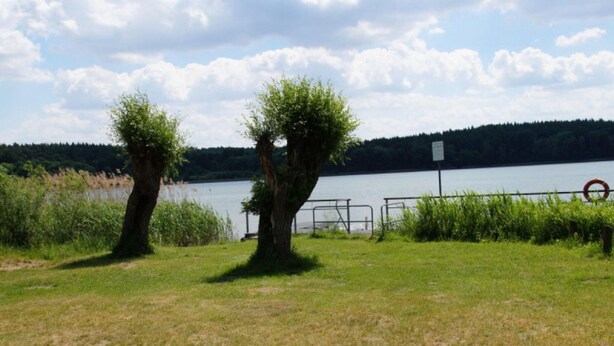 A grassy area with two trees and a metal railing near a body of water. - Holiday Home Monkfish House (Warin)