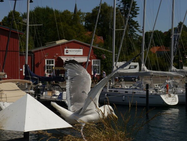 Marina - Holiday Apartment Sparrow's Nest (Eckernfoerde)