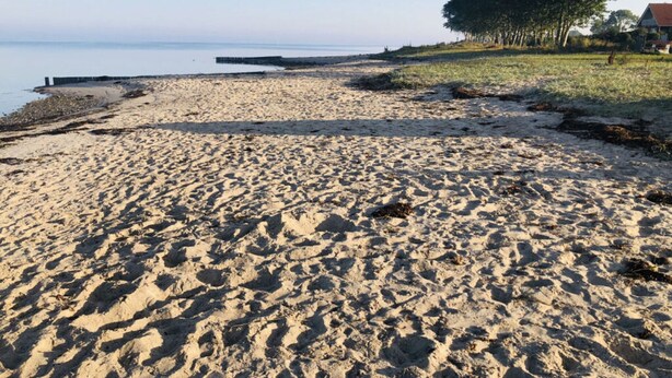 A sandy beach with a calm sea, a wooden pier, and a tree-lined area with a building in the background. - Holiday Home Beach and Nature (Gelting)