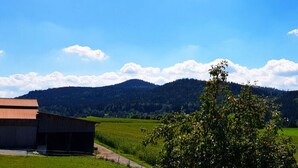 A rural landscape with a barn, green fields, and mountains in the background. - Holiday Apartment Haus Leutner Bavarian Forest (Bodenmais)