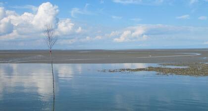 Holiday Home Kleiner Friese Dangast