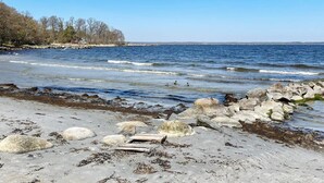 House | Beach - 6 Person Holiday Home in Solvesborg (Sölvesborg)