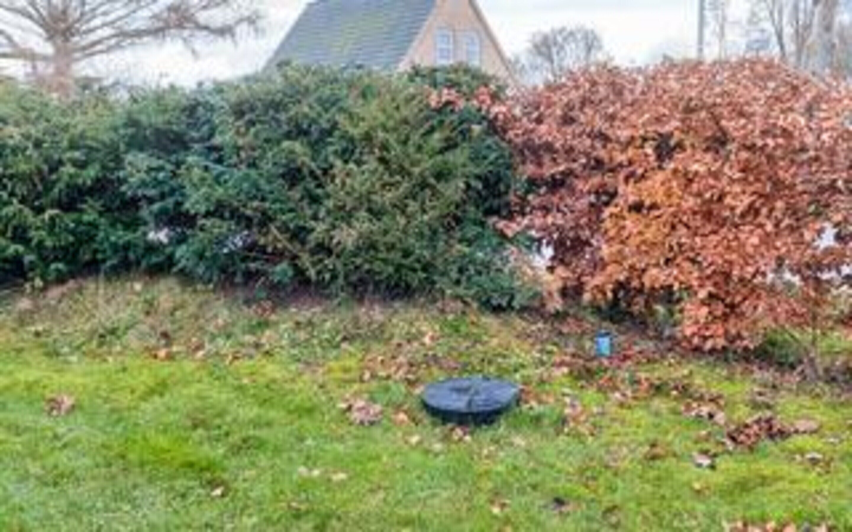House | Property grounds