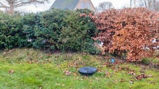 A grassy area with a pile of leaves, a bush, and a house in the background. - 6 Person Holiday Home in Rodvig Stevns (Rodvig Stevns)