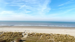 Une plage avec un rivage sablonneux et des dunes herbeuses au premier plan.